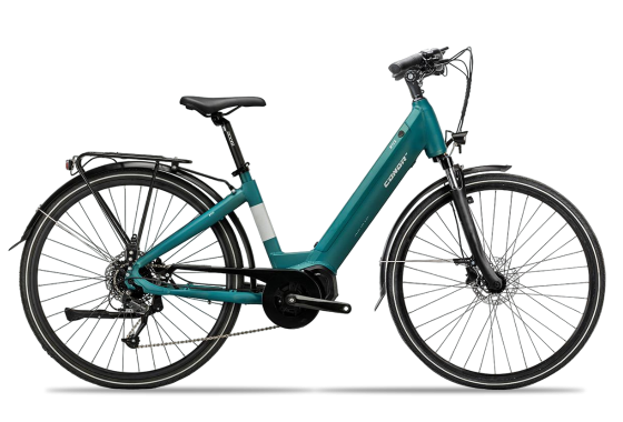 Electric Bike