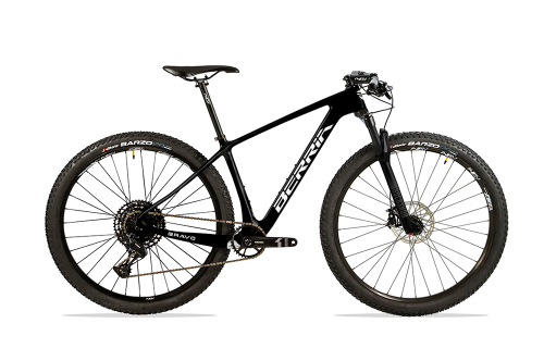 MTB Pro Carbon Hardtail