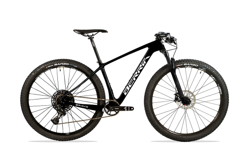 MTB Carbon Susp 29