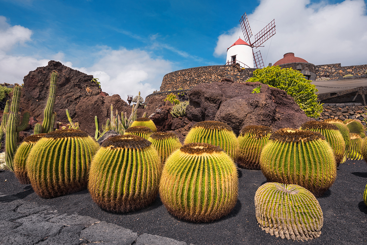 3 paisajes indispensables que ver en Lanzarote. Jardín de cactus de Lanzarote 3 paisajes indispensables que ver en Lanzarote. Jardín de cactus de Lanzarote